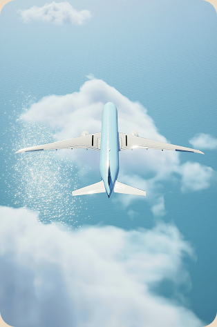Airplane in flight